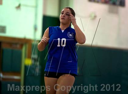 Thumbnail 1 in Calhoun @ Elmont Memorial photogallery.
