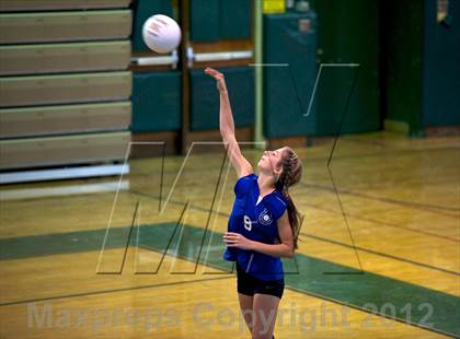 Thumbnail 2 in Calhoun @ Elmont Memorial photogallery.