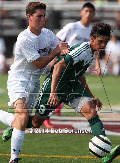 Thumbnail 3 in Brentwood @ Bay Shore photogallery.