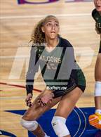 Photo from the gallery "Falcon @ Fountain-Fort Carson"