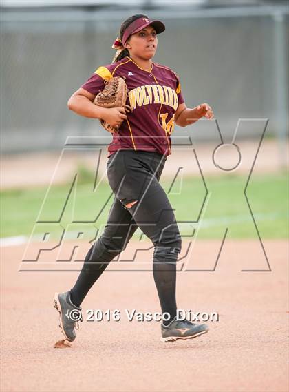 Thumbnail 3 in Sahuaro @ Tolleson photogallery.