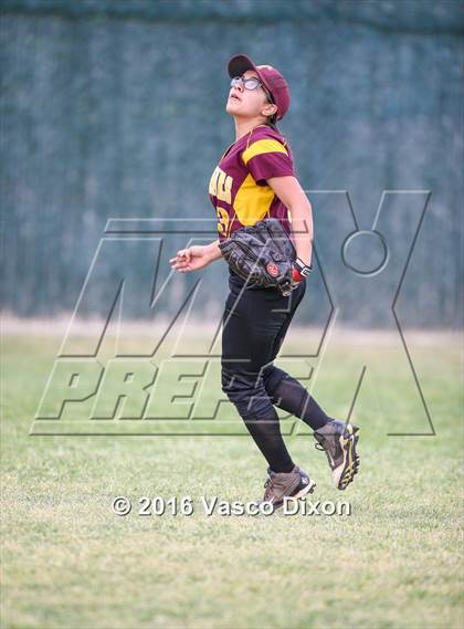 Thumbnail 1 in Sahuaro @ Tolleson photogallery.