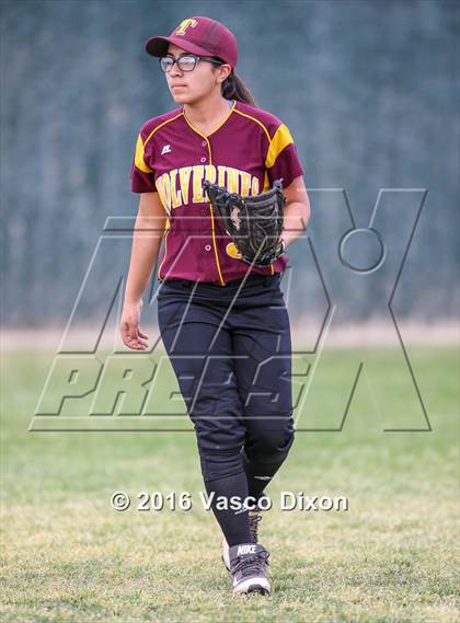 Thumbnail 1 in Sahuaro @ Tolleson photogallery.