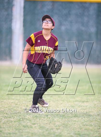 Thumbnail 1 in Sahuaro @ Tolleson photogallery.