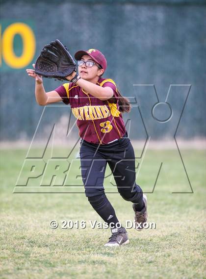 Thumbnail 1 in Sahuaro @ Tolleson photogallery.