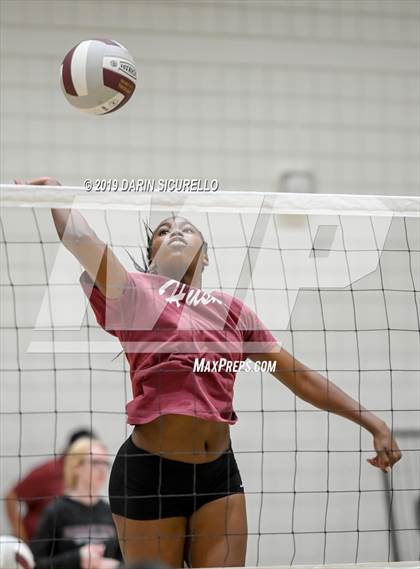 Thumbnail 1 in Hamilton @ Basha photogallery.