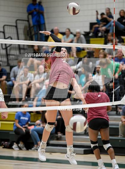 Thumbnail 2 in Hamilton @ Basha photogallery.