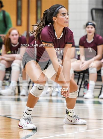 Thumbnail 3 in Hamilton @ Basha photogallery.