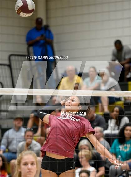 Thumbnail 2 in Hamilton @ Basha photogallery.
