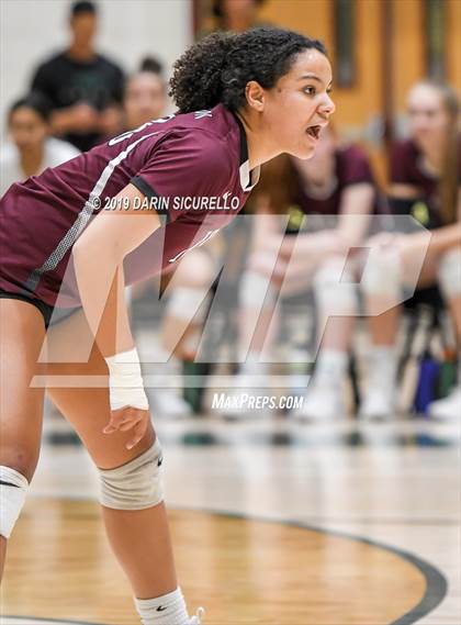 Thumbnail 2 in Hamilton @ Basha photogallery.