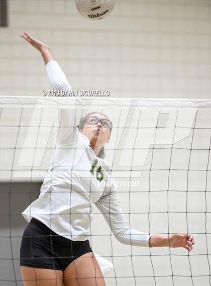 Thumbnail 3 in Hamilton @ Basha photogallery.