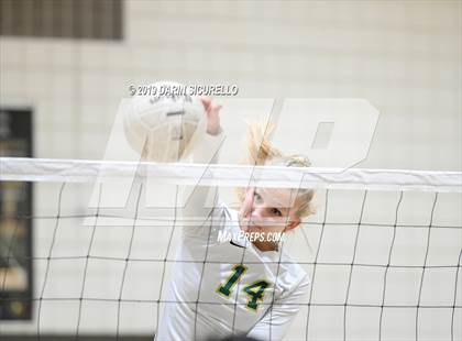 Thumbnail 3 in Hamilton @ Basha photogallery.