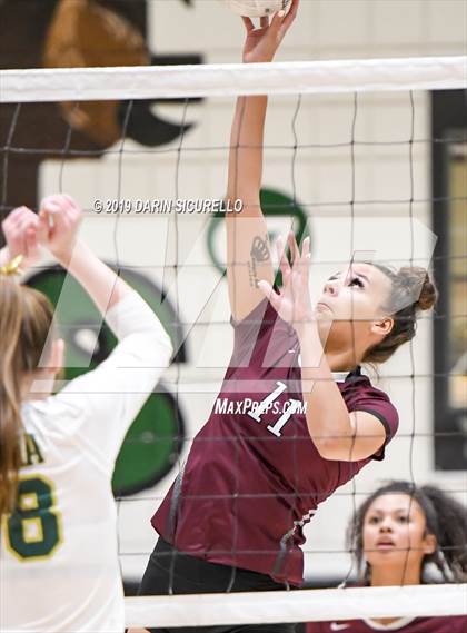 Thumbnail 2 in Hamilton @ Basha photogallery.