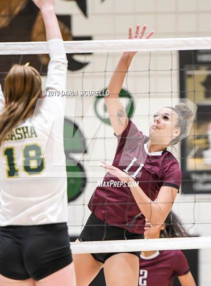 Thumbnail 3 in Hamilton @ Basha photogallery.