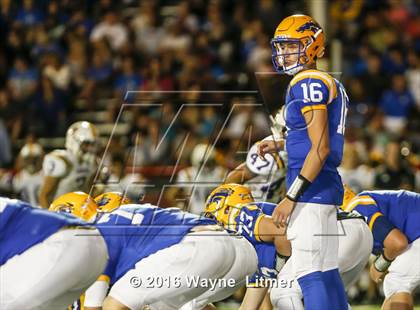 Thumbnail 1 in Campbell County @ Newport Central Catholic photogallery.