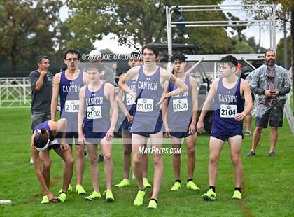 Thumbnail 3 in UIL Cross Country 4A Finals (5K) photogallery.