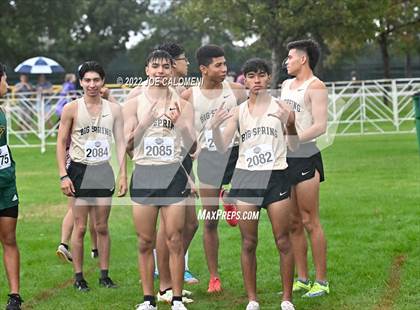 Thumbnail 1 in UIL Cross Country 4A Finals (5K) photogallery.
