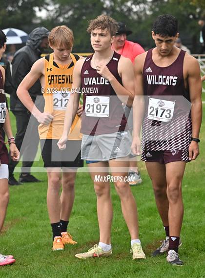 Thumbnail 2 in UIL Cross Country 4A Finals (5K) photogallery.