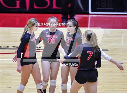 Thumbnail 1 in Lorena vs. Gunter (UIL Volleyball 3A Semifinals) photogallery.