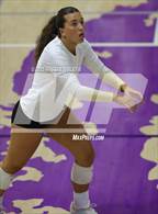 Photo from the gallery "Calhoun vs. Walton"