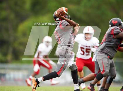 Thumbnail 3 in Homewood-Flossmoor @ Southern Durham photogallery.