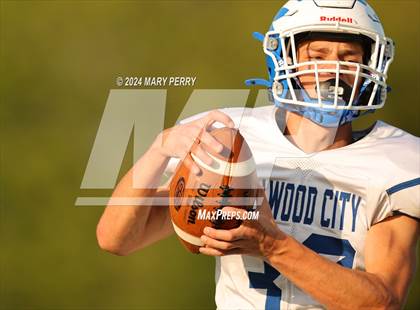 Thumbnail 1 in Ellwood City @ Laurel photogallery.