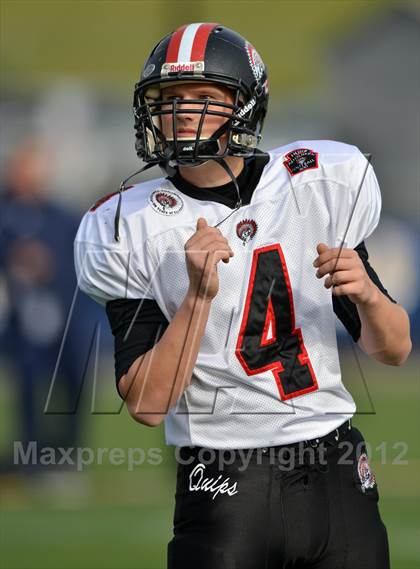 Thumbnail 3 in Aliquippa vs. Wyomissing (PIAA AA Final) photogallery.