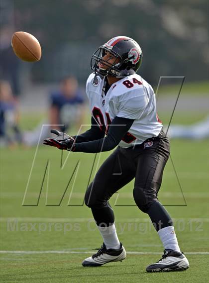 Thumbnail 3 in Aliquippa vs. Wyomissing (PIAA AA Final) photogallery.