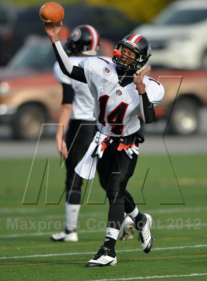 Thumbnail 1 in Aliquippa vs. Wyomissing (PIAA AA Final) photogallery.
