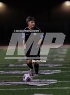 Photo from the gallery "Florin @ Galt"