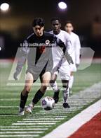 Photo from the gallery "Florin @ Galt"