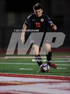 Photo from the gallery "Florin @ Galt"