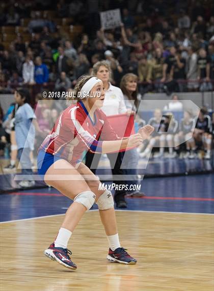 Thumbnail 2 in Fleming vs. Springfield (CHSAA 1A 3rd Round) photogallery.