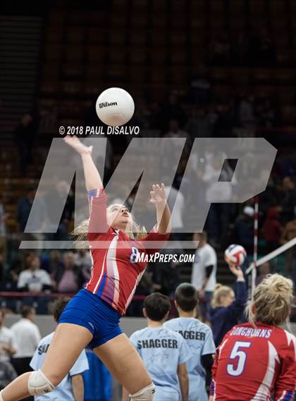 Thumbnail 3 in Fleming vs. Springfield (CHSAA 1A 3rd Round) photogallery.
