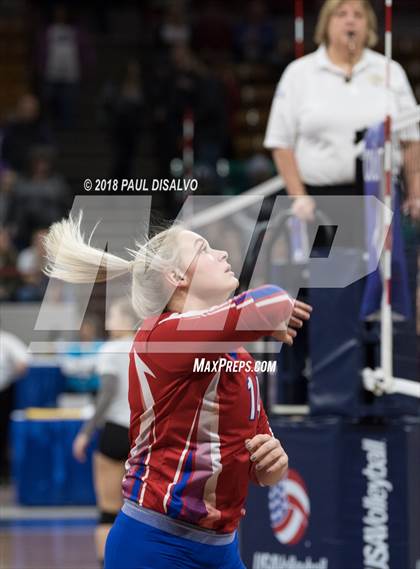Thumbnail 1 in Fleming vs. Springfield (CHSAA 1A 3rd Round) photogallery.
