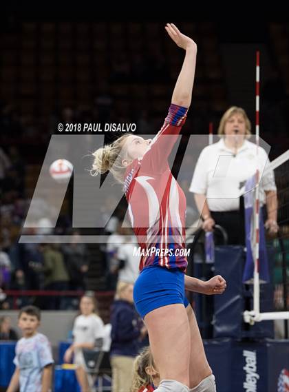 Thumbnail 1 in Fleming vs. Springfield (CHSAA 1A 3rd Round) photogallery.