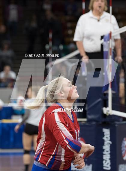 Thumbnail 2 in Fleming vs. Springfield (CHSAA 1A 3rd Round) photogallery.
