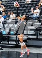 Photo from the gallery "Davis vs. Park City (Utah Valley Invitational)"