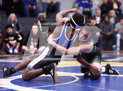 Thumbnail 3 in Goodpasture Invitational photogallery.