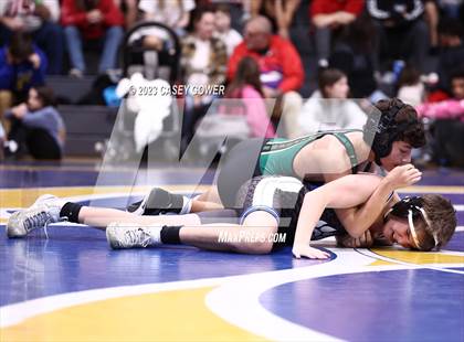 Thumbnail 2 in Goodpasture Invitational photogallery.