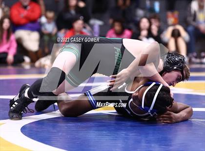 Thumbnail 1 in Goodpasture Invitational photogallery.