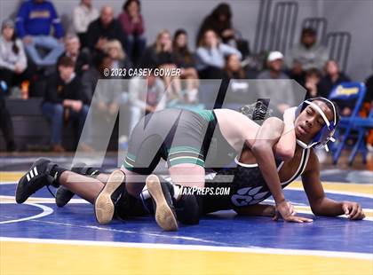 Thumbnail 1 in Goodpasture Invitational photogallery.