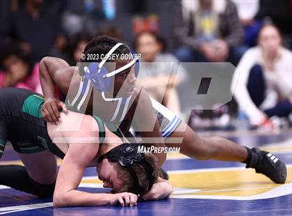 Thumbnail 3 in Goodpasture Invitational photogallery.