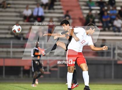 Thumbnail 1 in Pasco @ Zephyrhills photogallery.