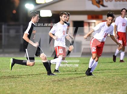 Thumbnail 2 in Pasco @ Zephyrhills photogallery.