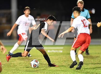 Thumbnail 2 in Pasco @ Zephyrhills photogallery.