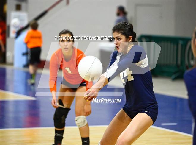 null - Photo 01