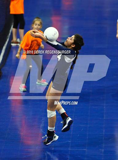 null - Photo 21