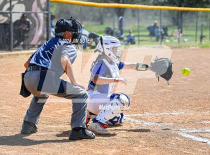 Thumbnail 1 in Snook vs Mumford photogallery.