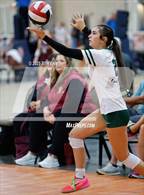 Photo from the gallery "Assumption vs. Greeneville (Showdown at the Sunsphere)"